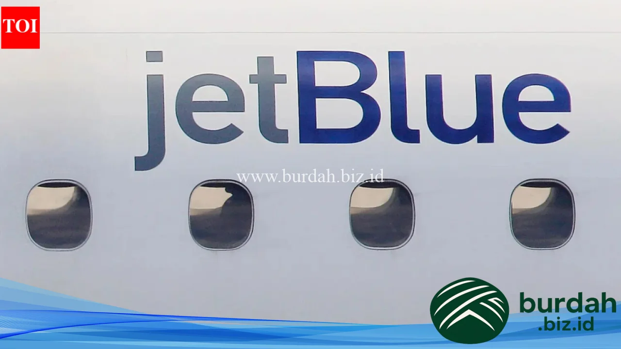 A JetBlue plane plunged thousands of feet and the cause might be from another galaxy