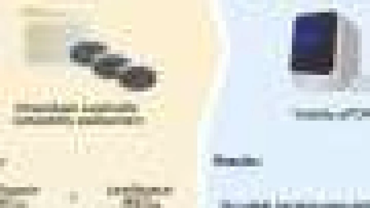 Antibiotic delafloxacin emerges as a potential therapeutic alternative against Legionella