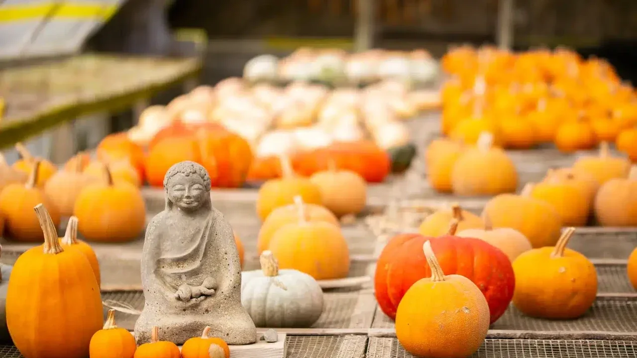 Boundaries For Thanksgiving