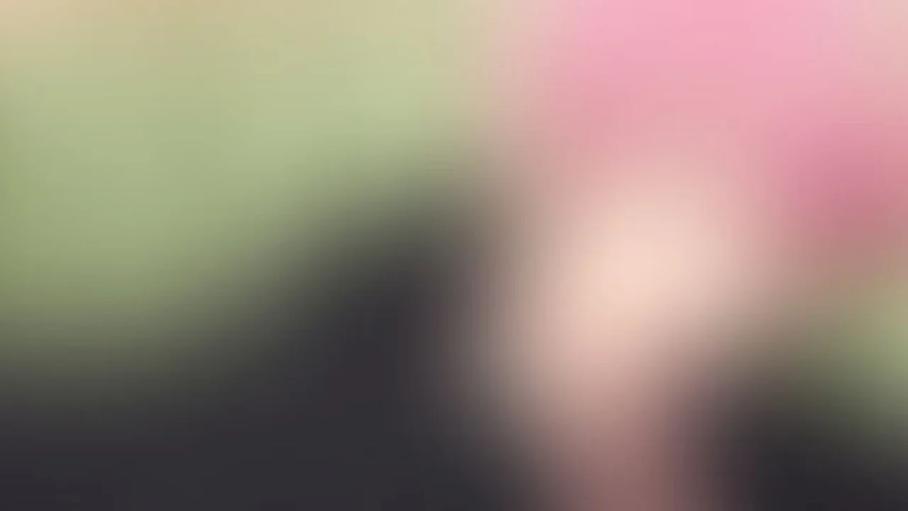 Crunchyroll's Critical Hits