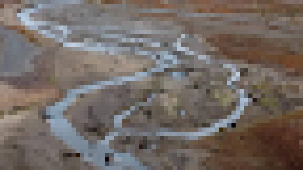 Drought Misinformation Spreads Widely