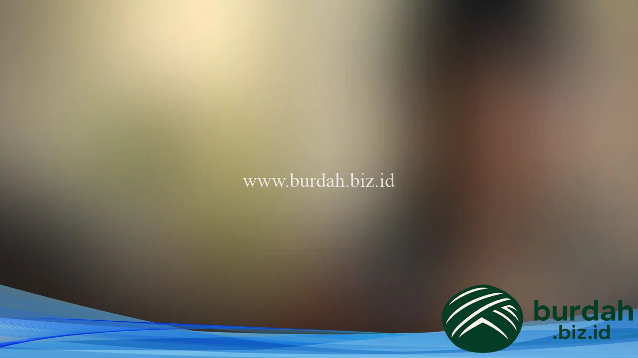 Is Peacock actually worth the money