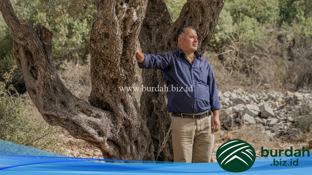 Israeli settlements are forcing Palestinians from their land