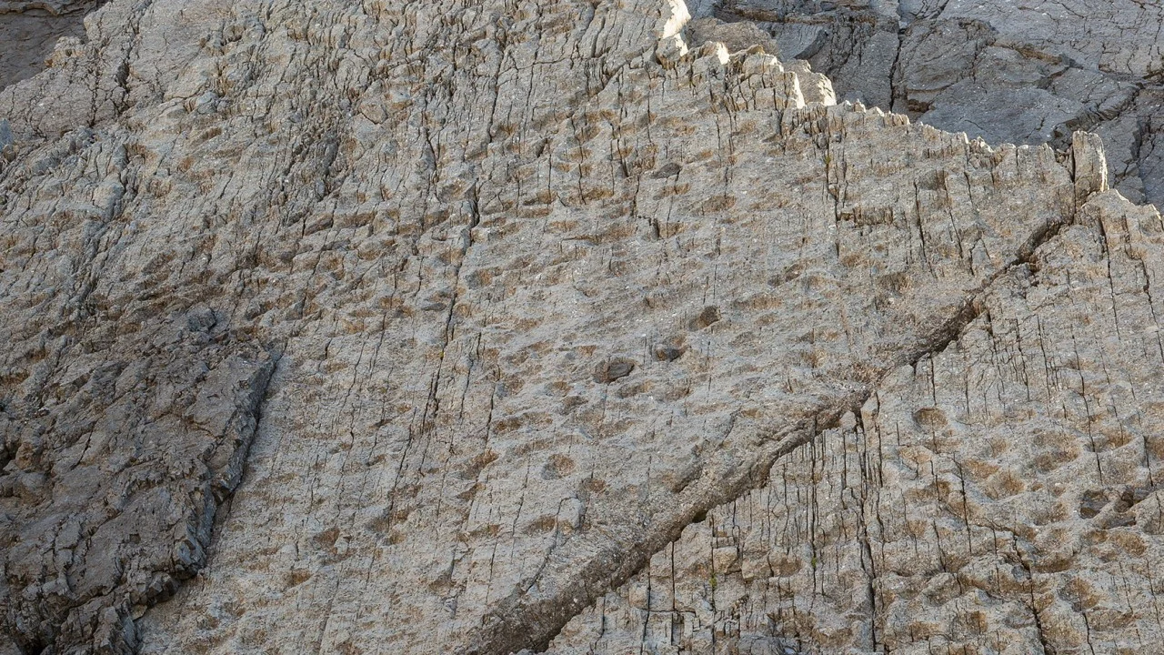 More Than 2,000 Dinosaur Footprints Are Found in the Italian Alps