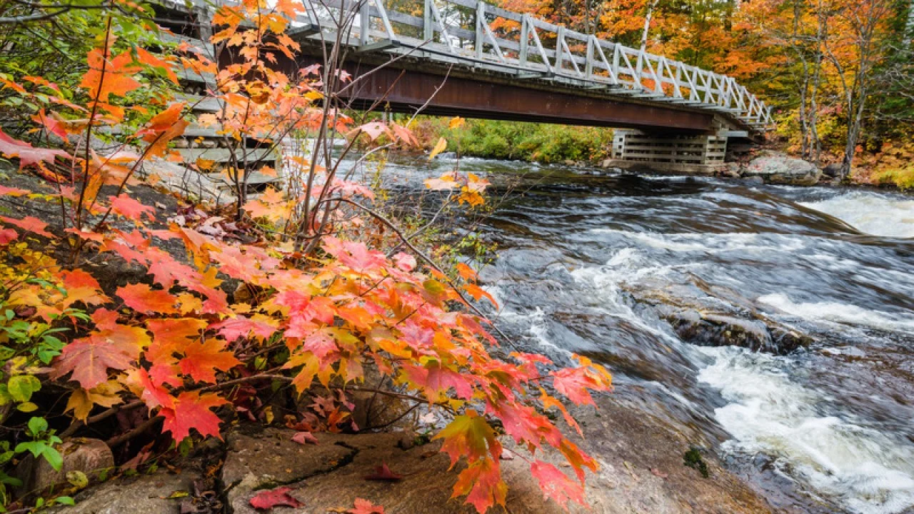 Norfolk County Real Estate Market: September 2025 Sees Stronger Sales