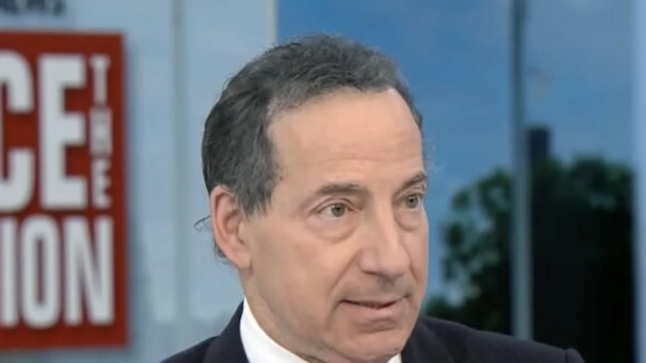Raskin: GOP Is 'Whole Reason We've Got the Affordable Care Act', Need Medicare for All to Deal with Insurance