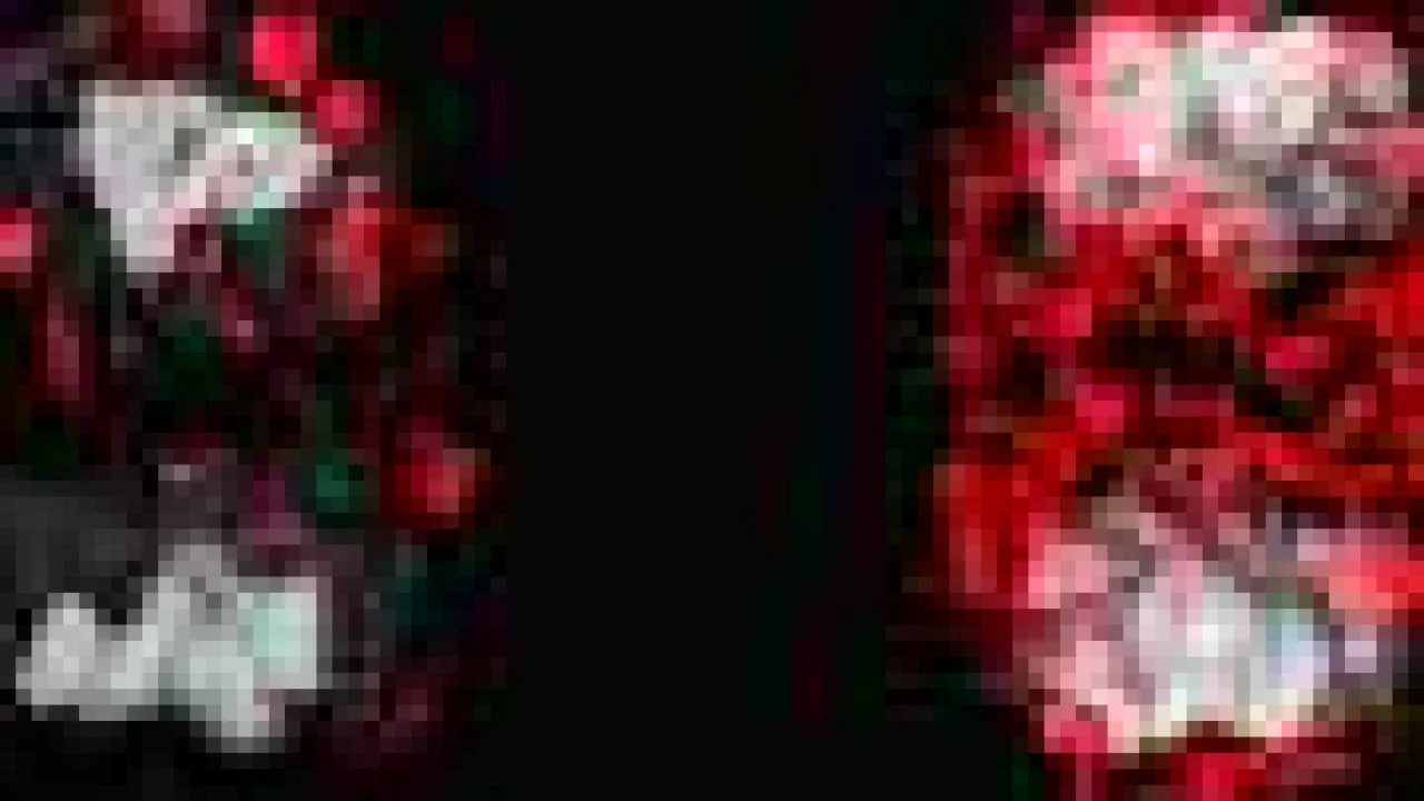 What determines the fate of a T cell? Research highlights cellular 'housekeeping' mechanism