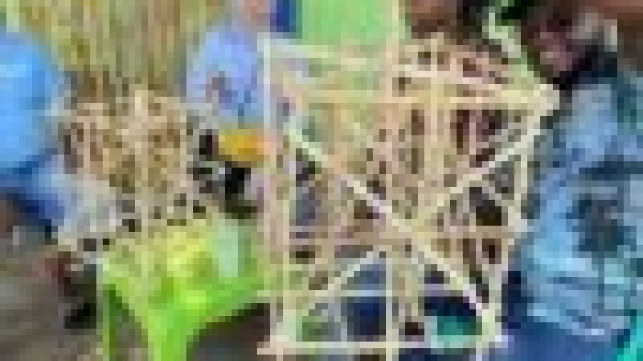 When Frontline Communities Lead: Lessons From Five Years of Just Climate Action